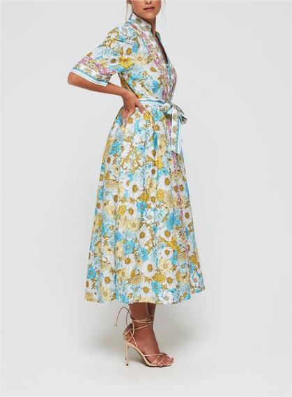 Hermoza Budding Blues Print Dress